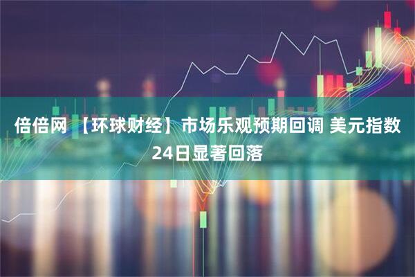 倍倍网 【环球财经】市场乐观预期回调 美元指数24日显著回落