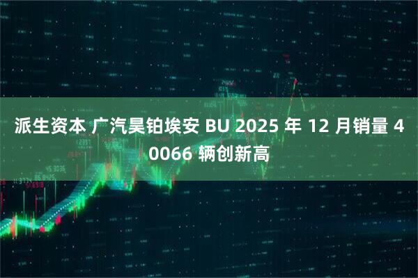 派生资本 广汽昊铂埃安 BU 2025 年 12 月销量 40066 辆创新高