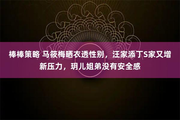 棒棒策略 马筱梅晒衣透性别，汪家添丁S家又增新压力，玥儿姐弟没有安全感